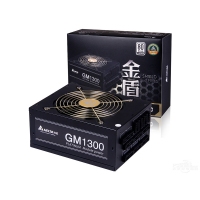台达GM1300